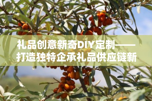 礼品创意新奇DIY定制——打造独特企承礼品供应链新风尚
